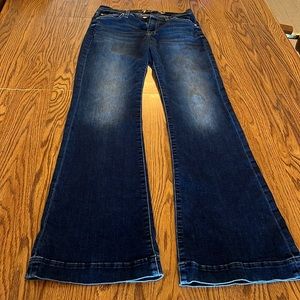 7 for all Mankind Dojo Jeans